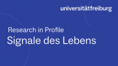 thumbnail of medium Research in Profile - Thomas Ott - deutsch untertitelt