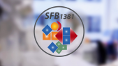 thumbnail of medium SFB 1381