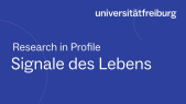 thumbnail of medium Research in Profile -  Jürgen Kleine-Vehn - deutsch untertitelt